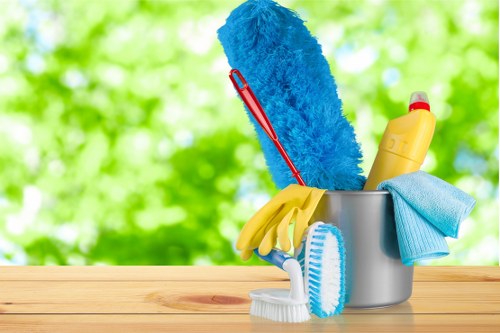 Professional mattress cleaning removing dust and stains