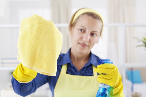 Professional move out cleaning in a residential home