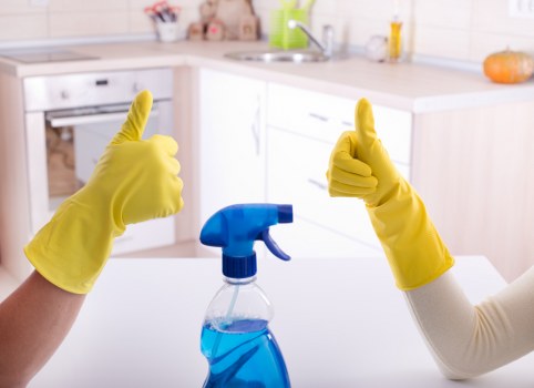 Domestic cleaning essentials for a tidy modern home