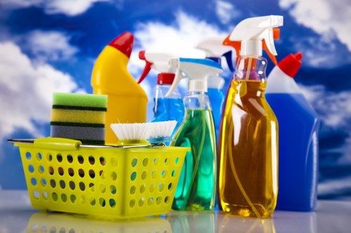 Kitchen and bathroom domestic cleaning routine