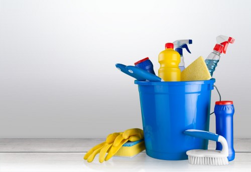 Bathroom deep cleaned as part of move in cleaning