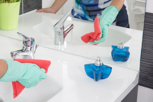 Technician using tools for streak-free window cleaning