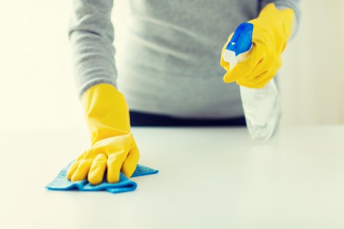 Professional domestic cleaning for busy households