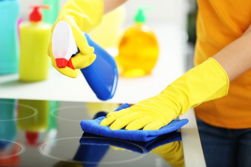 Different upholstery fabric samples and cleaning tools