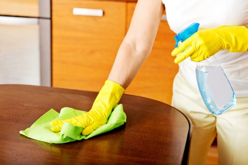 A person following a house cleaning routine in a modern kitchen